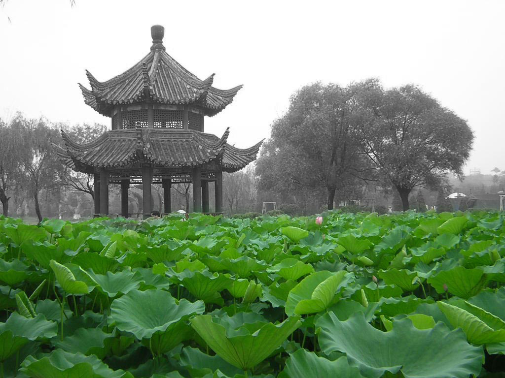 verde-china